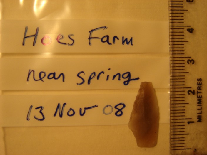 leaf-shaped arrow head